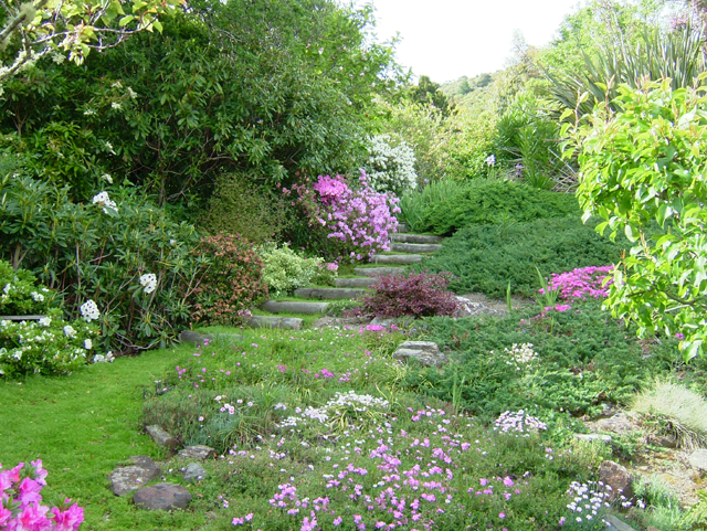 Camomile path