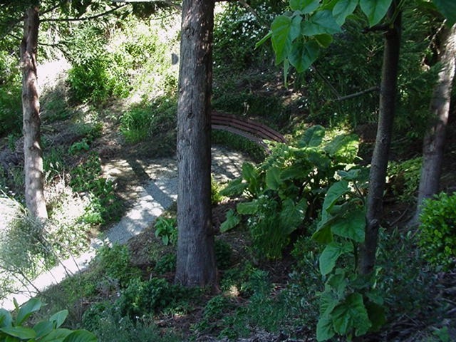 Cryptomeria Basin.