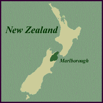 Map of N.Z.