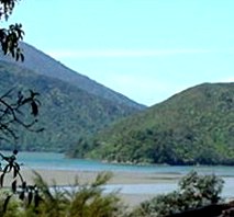 View from Ridge Track.