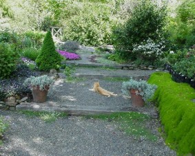 View of steps and surrounding garden.