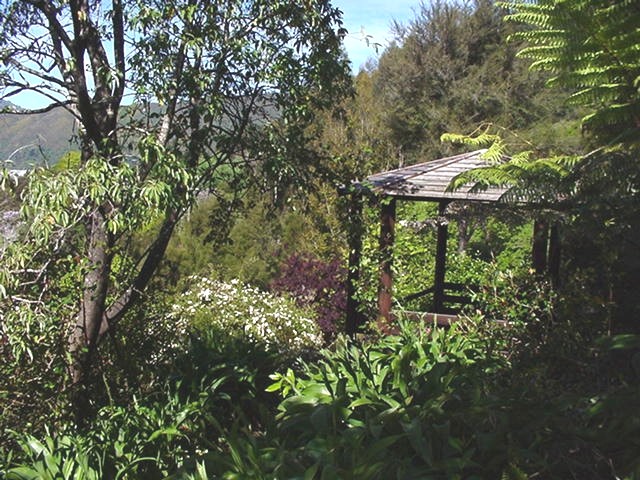 View of Well area.